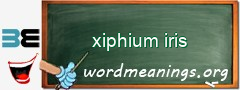 WordMeaning blackboard for xiphium iris